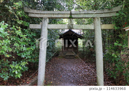 Muko-Jinja Shinto Shrine in Muko City of Kyoto Japan. Founded in the year 718 by the Mutobe clan as requested by Emperor Jinmu. Its design was copied by the Meiji Jingu in Tokyo. Muko-Jinja Shinto Shrine in Muko City of Kyoto Japan. Founded in the year 718 by the Mutobe clan as requested by Emperor Jinmu. Its design was copied by the Meiji Jingu in Tokyo. 114633968