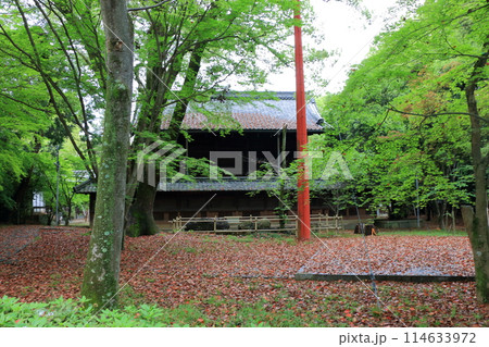 Muko-Jinja Shinto Shrine in Muko City of Kyoto Japan. Founded in the year 718 by the Mutobe clan as requested by Emperor Jinmu. Its design was copied by the Meiji Jingu in Tokyo. Muko-Jinja Shinto Shrine in Muko City of Kyoto Japan. Founded in the year 718 by the Mutobe clan as requested by Emperor Jinmu. Its design was copied by the Meiji Jingu in Tokyo. 114633972