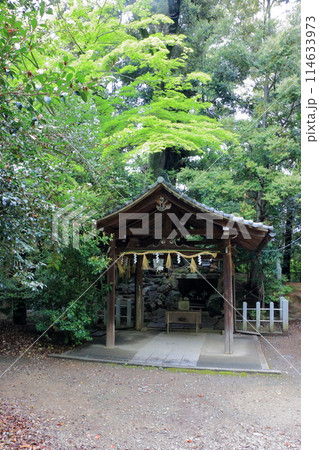 Muko-Jinja Shinto Shrine in Muko City of Kyoto Japan. Founded in the year 718 by the Mutobe clan as requested by Emperor Jinmu. Its design was copied by the Meiji Jingu in Tokyo. Muko-Jinja Shinto Shrine in Muko City of Kyoto Japan. Founded in the year 718 by the Mutobe clan as requested by Emperor Jinmu. Its design was copied by the Meiji Jingu in Tokyo. 114633973