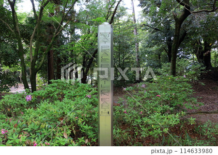 Muko-Jinja Shinto Shrine in Muko City of Kyoto Japan. Founded in the year 718 by the Mutobe clan as requested by Emperor Jinmu. Its design was copied by the Meiji Jingu in Tokyo. 114633980