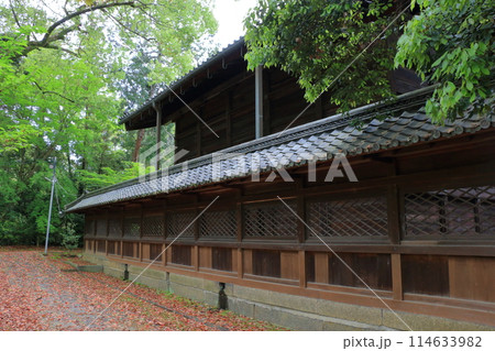 Muko-Jinja Shinto Shrine in Muko City of Kyoto Japan. Founded in the year 718 by the Mutobe clan as requested by Emperor Jinmu. Its design was copied by the Meiji Jingu in Tokyo. Muko-Jinja Shinto Shrine in Muko City of Kyoto Japan. Founded in the year 718 by the Mutobe clan as requested by Emperor Jinmu. Its design was copied by the Meiji Jingu in Tokyo. 114633982