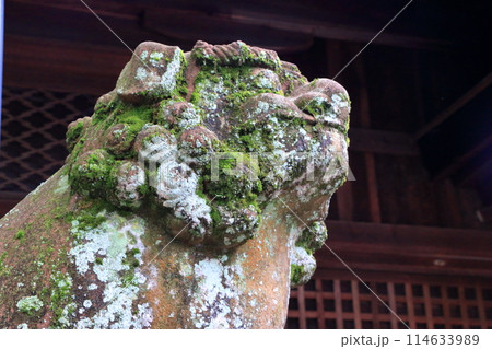Muko-Jinja Shinto Shrine in Muko City of Kyoto Japan. Founded in the year 718 by the Mutobe clan as requested by Emperor Jinmu. Its design was copied by the Meiji Jingu in Tokyo. Muko-Jinja Shinto Shrine in Muko City of Kyoto Japan. Founded in the year 718 by the Mutobe clan as requested by Emperor Jinmu. Its design was copied by the Meiji Jingu in Tokyo. 114633989