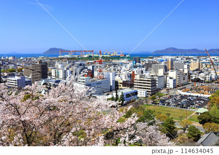 【香川県】春の丸亀城より眺める丸亀市街地と瀬戸内海 114634045