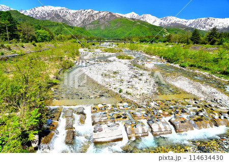 平川橋／平川より上流方向を望む(長野県白馬村)【2024.5】 114634430