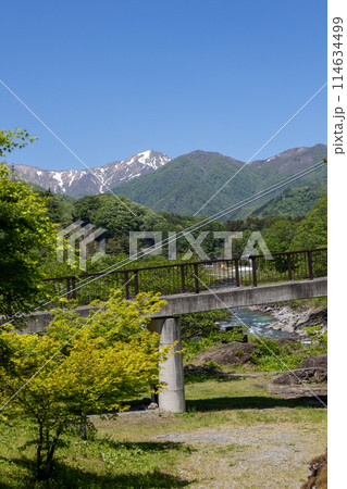 初夏の水上温泉　諏訪峡遊歩道 114634499