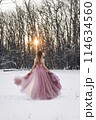 Girl in a pink dress in a winter snowy forest 114634560