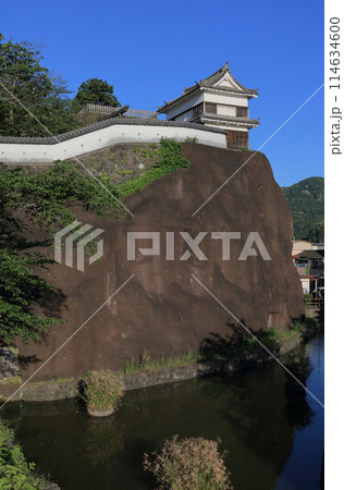 夕晴れの臼杵城(断崖上の畳櫓)現存櫓 夕晴れの臼杵城(断崖上の畳櫓)現存櫓 114634600