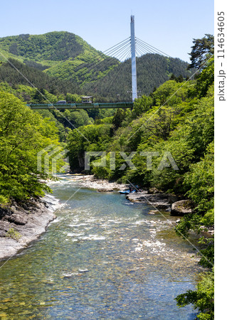初夏の水上温泉　諏訪峡遊歩道から見る利根川 114634605