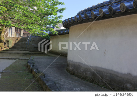 夕晴れの臼杵城（二の丸大手口の中門跡付近の白壁土塀の鉄砲狭間） 114634606