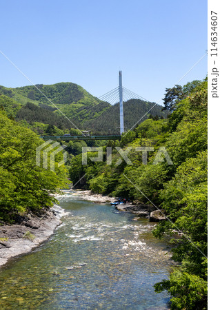 初夏の水上温泉　諏訪峡遊歩道から見る利根川 114634607