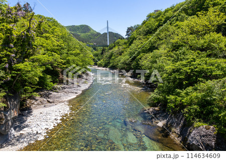 初夏の水上温泉　諏訪峡遊歩道から見る利根川 114634609