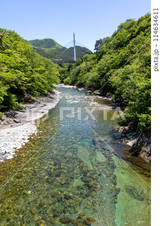 初夏の水上温泉 諏訪峡遊歩道から見る利根川 初夏の水上温泉 諏訪峡遊歩道から見る利根川 114634611