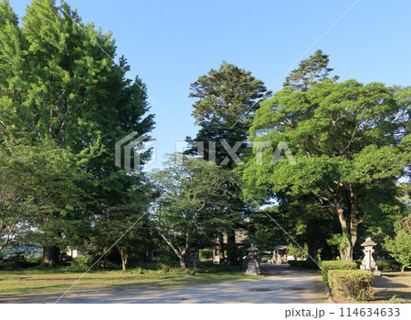 夕晴れの臼杵城（臼杵公園）（二の丸跡） 114634633