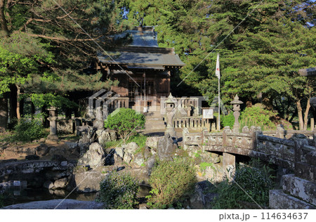 夕晴れの臼杵城（二の丸跡の臼杵護国神社） 114634637