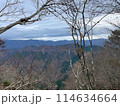 木の隙間から見る景色 114634664