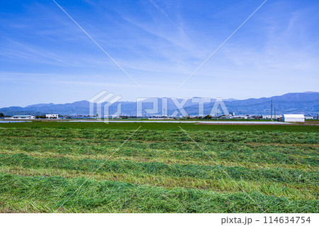 牧草と山岳風景　松本市 114634754