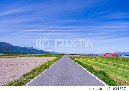 北アルプスに向かって走る真っすぐな道 北アルプスに向かって走る真っすぐな道 114634757