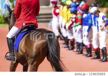 競馬場の風景 パドック 新潟県新潟市 競馬場の風景 パドック 新潟県新潟市 114635003