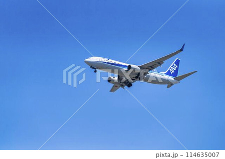 着陸中の飛行機　新潟県新潟市 114635007