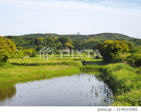 三舟山の風景(君津市) 三舟山の風景(君津市) 114635066