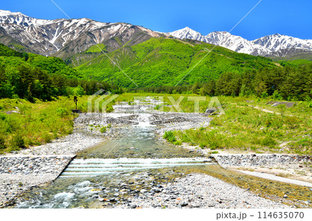 平川流路工：白馬オリンピック大橋／平川より上流方向を望む(長野県白馬村)【2024.5】 114635070
