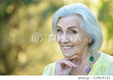 Close up portrait of happy smiling senior woman in park 114635152
