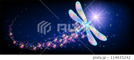 Magic dragonfly with sparkle and blazing trail flying in night sky among shiny glowing stars in cosmic space. Animal protection day concept. Magic dragonfly with sparkle and blazing trail flying in night sky among shiny glowing stars in cosmic space. Animal protection day concept. 114635242