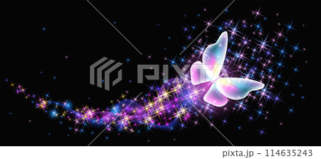 Flying butterfly with sparkle and blazing trail flying in night sky among shiny glowing stars in cosmic space. Animal protection day concept. Flying butterfly with sparkle and blazing trail flying in night sky among shiny glowing stars in cosmic space. Animal protection day concept. 114635243