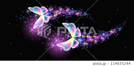 Flying delightful butterflies with sparkle and blazing trail flying in night sky among shiny glowing stars in cosmic space. Animal protection day concept. Flying delightful butterflies with sparkle and blazing trail flying in night sky among shiny glowing stars in cosmic space. Animal protection day concept. 114635244