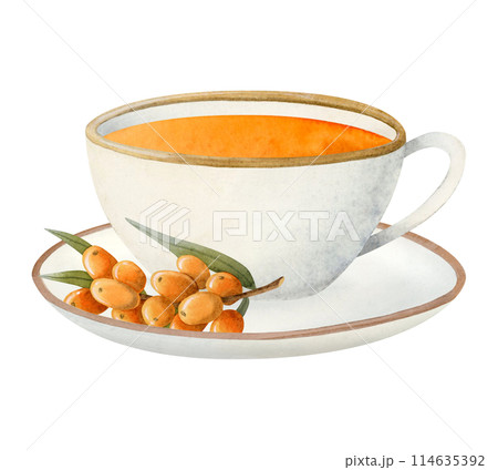 Watercolor sea buckthorn herbal tea in white cup with saucer illustration with orange berries for cafe menus and healthy recipes with natural drinks 114635392
