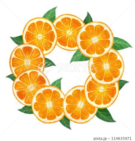 Orange fruit, mandarine slice with green leafs watercolor wreath isolated on white background. High quality art for food design, packages, restaurant menu, natural organic food logo, Christmas design 114635971