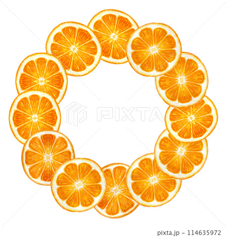 Citrus, orange slice wreath in watercolor isolated on white background. High quality hand drawn art for essential oils, food design, packages, menus, natural organic food logo and Christmas decor 114635972