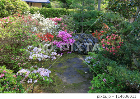 Entsuji Temple of Rinzai Zen Buddhism in northern Kyoto with its Shakkei garden and a beautiful view of mt. Hiei, in Kyoto Japan 114636013