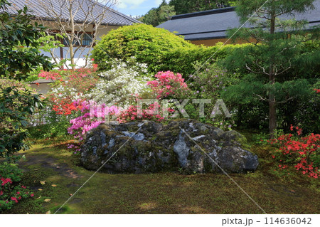 Entsuji Temple of Rinzai Zen Buddhism in northern Kyoto with its Shakkei garden and a beautiful view of mt. Hiei, in Kyoto Japan 114636042
