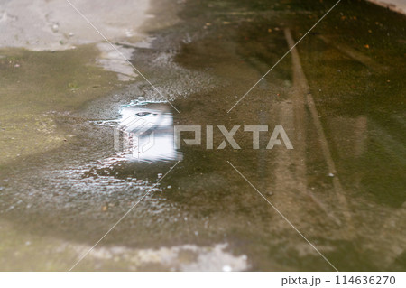 A puddle of shallow water gathered on the concrete floor under a covered canopy after a heavy summer downpour A puddle of shallow water gathered on the concrete floor under a covered canopy after a heavy summer downpour 114636270
