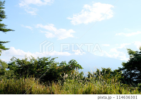 山梨県_武田信玄の戦国広場絶景やぐらから付近から富士山方面風景2_2022年10月 山梨県_武田信玄の戦国広場絶景やぐらから付近から富士山方面風景2_2022年10月 114636301