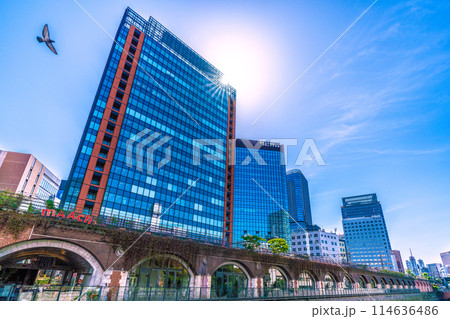 日本の東京都市景観 万世橋からマーチエキュートや太陽光、ハトなどを望む(右奥は御茶ノ水駅方向) 日本の東京都市景観 万世橋からマーチエキュートや太陽光、ハトなどを望む(右奥は御茶ノ水駅方向) 114636486