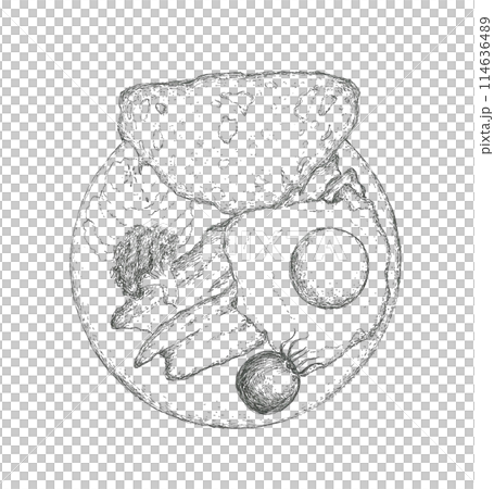 イングリッシュブレックファストの手描きイラスト イングリッシュブレックファストの手描きイラスト 114636489