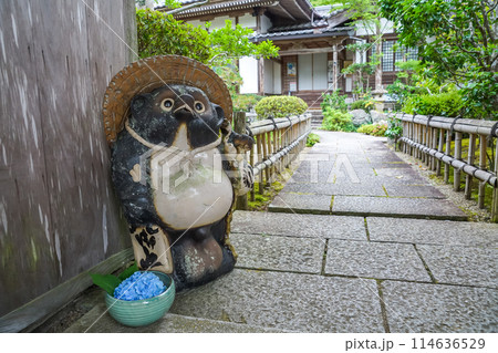 お寺の門に鎮座する狸のおきもの。アジサイを添えて。「岡山県真庭市・花の山寺 普門寺」 お寺の門に鎮座する狸のおきもの。アジサイを添えて。「岡山県真庭市・花の山寺 普門寺」 114636529