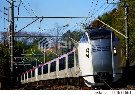 新生E259系・成田エクスプレス：都市と空港を結ぶ特急 114636661