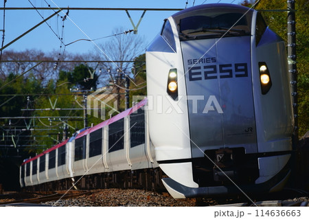 佐倉側トンネルを出るE259系特急電車 114636663