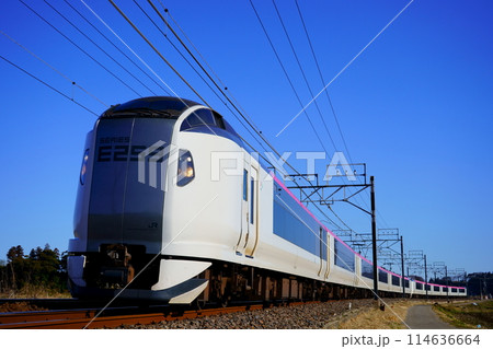 総武本線のカーブを駆け抜ける成田エクスプレス 総武本線のカーブを駆け抜ける成田エクスプレス 114636664