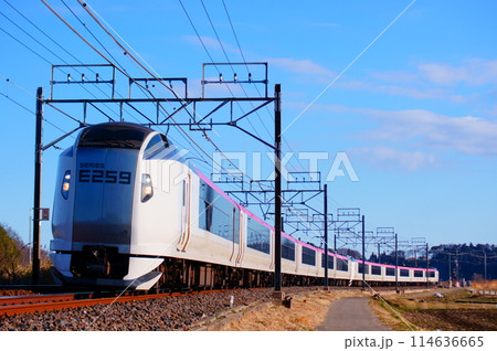 成田エクスプレス・E259系の新塗装 成田エクスプレス・E259系の新塗装 114636665