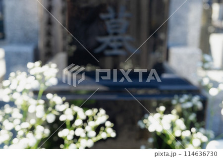 お墓のぼかし画像 白いカスミ草 お墓のぼかし画像 白いカスミ草 114636730