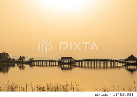 「青森県」朝日に照らされた美しい鶴の舞橋 114636931