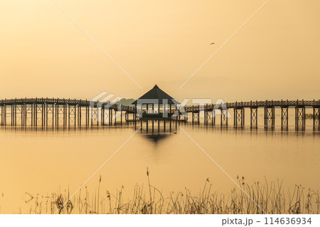 「青森県」朝日に照らされた美しい鶴の舞橋 114636934