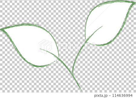 Lid foliage 114636994