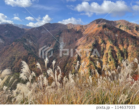 秋の山々とすすきと青空 秋の山々とすすきと青空 114637035