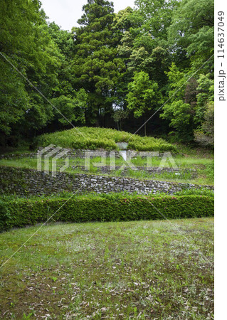 春の梶山古墳の風景 鳥取県 国府町 春の梶山古墳の風景 鳥取県 国府町 114637049