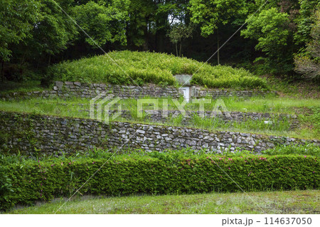 春の梶山古墳の風景 鳥取県 国府町 春の梶山古墳の風景 鳥取県 国府町 114637050